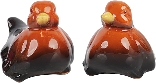 Coctelera de cerámica para pájaros, salero y pimienta, decoración de cocina, color marrón