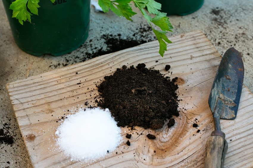 Epsom salt for plants - 200 gm-picture-19