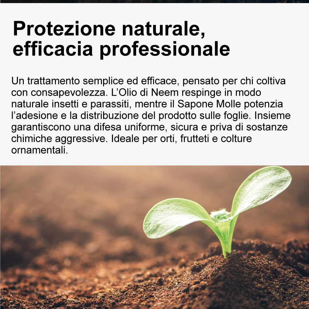 Olio di Neem - insetticida naturale biologico solubile in acqua (1 litro) + Sapone Molle di Potassio (1 litro)