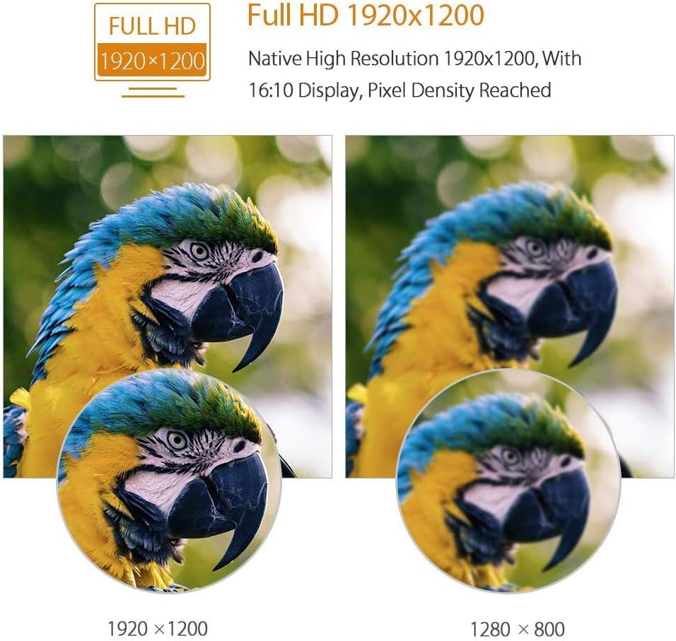 Up To 40% OFF Eyoyo 10 inch Monitor HDMI LCD Monitor 1920x1200 16:10 IPS Screen Display with BNC VGA AV Output for CCTV DVD PC Laptop DVR Built-in Loudspeakers
