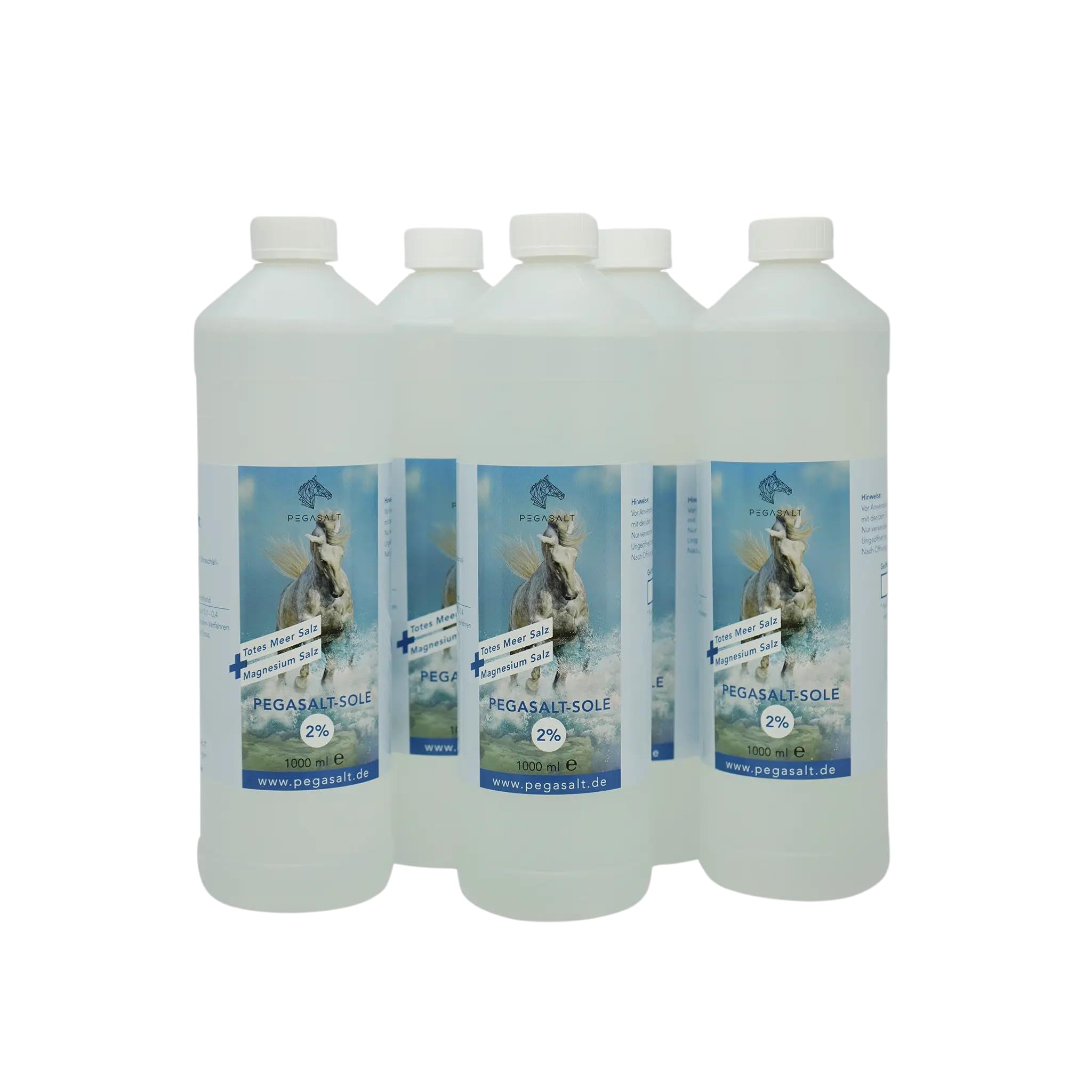 2% Totes Meer Sole (1000 ml) • Pferde Inhalation Soletherapie • Regeneration der Atemwege für Pferde (5er Spar Set)