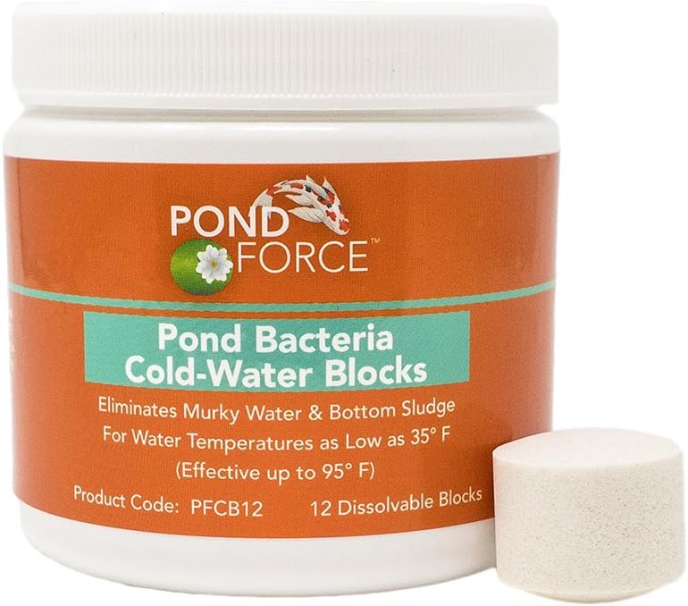 Cold Water Pond Bacteria