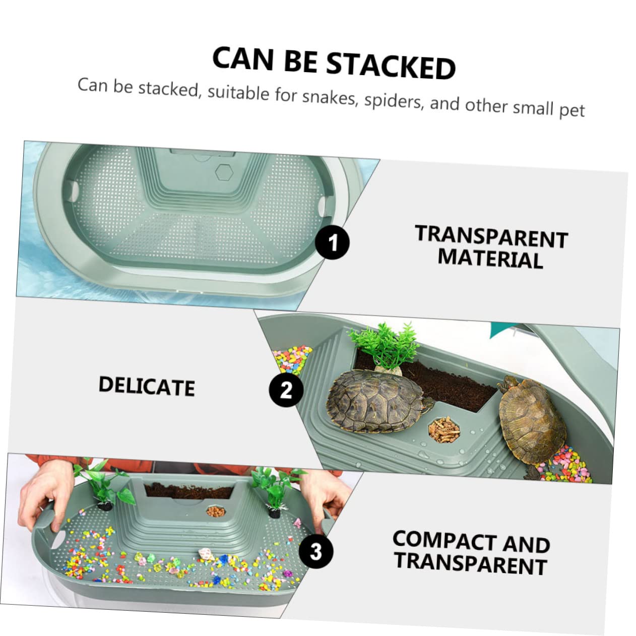 Acuario para Tortugas Reptiles con 5 Áreas, Plástico Verde | Zona de Natación, Plataforma de Asoleo y Área de Alimentación, Diseño Antideslizante para Reptil