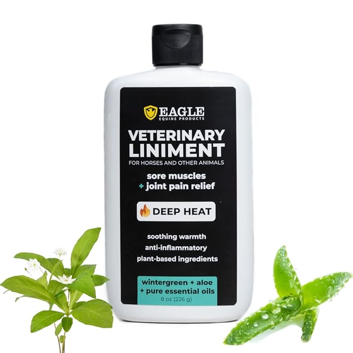 Buy MagnaGard Veterinary Liniment Gel for Horses by Eagle Equine Sore