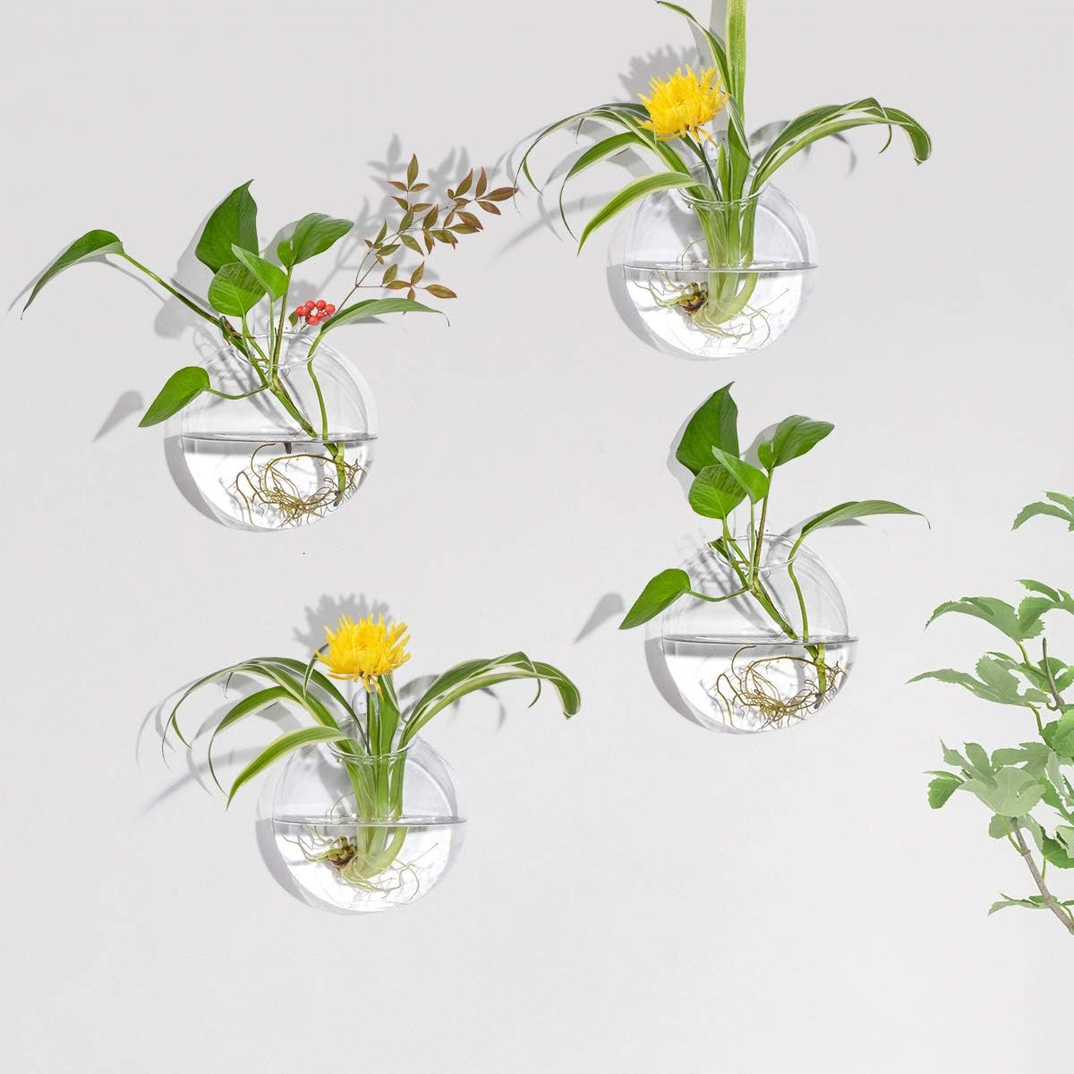 Set of 4 Modern White Round Glass Wall Planters, Indoor, 4.8"W x 4.8"D x 3.8"H, Heat Resistant, Perfect for Air Plants, Water Plants & Decorative Objects