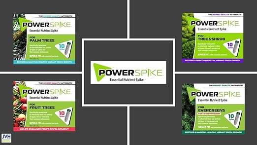 Power Spike para Evergreens, Fertilizante en Espiga con Hierro, 10 Unidades miniatura 6