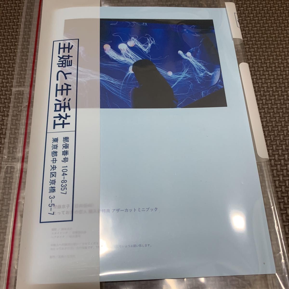 Amazon.co.jp: 日向坂46 齊藤京子 とっておきの恋人 アザーカット写真