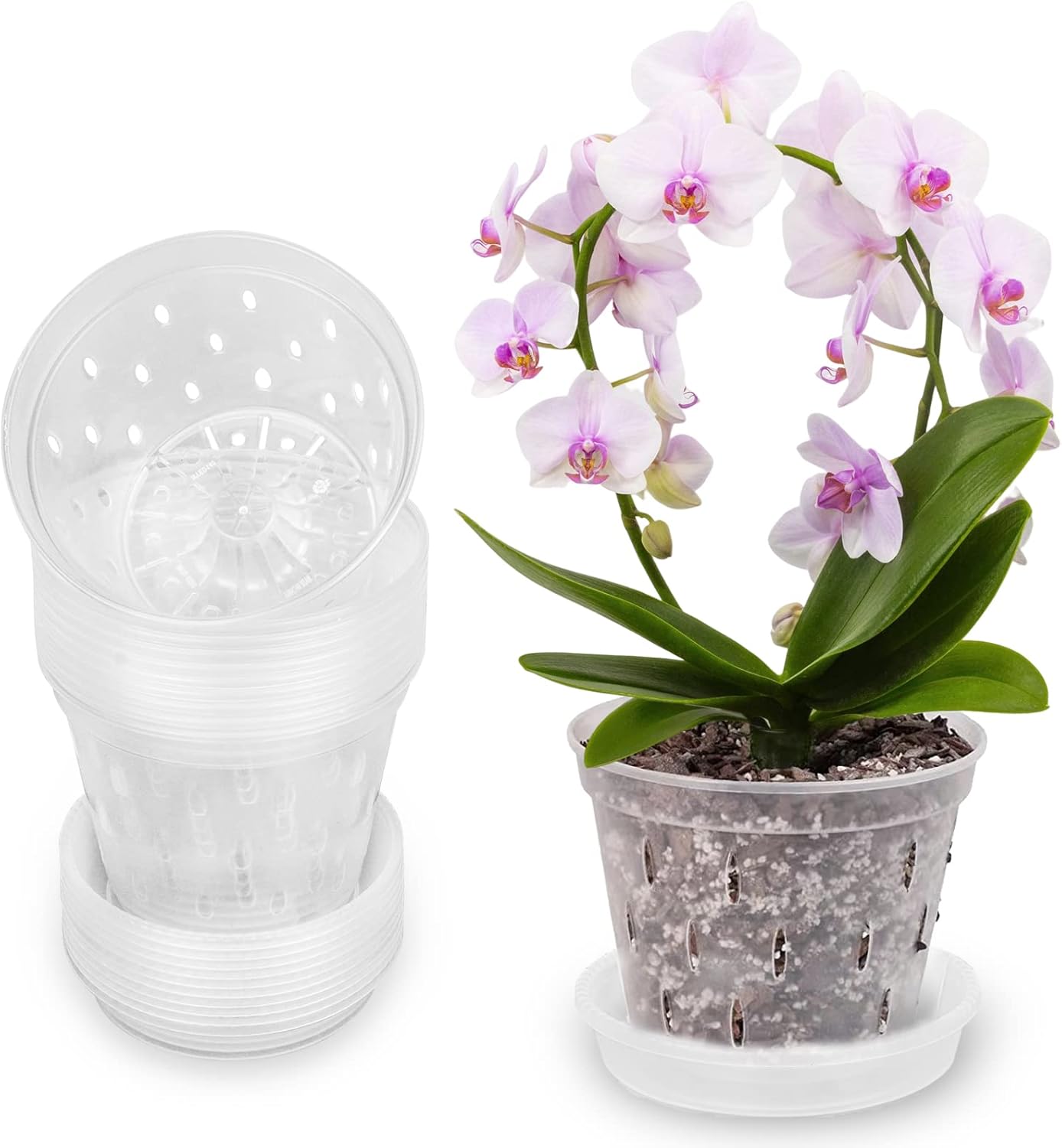 Amazon.de MFXIP Orchideentöpfe mit Löchern und Untersetzern