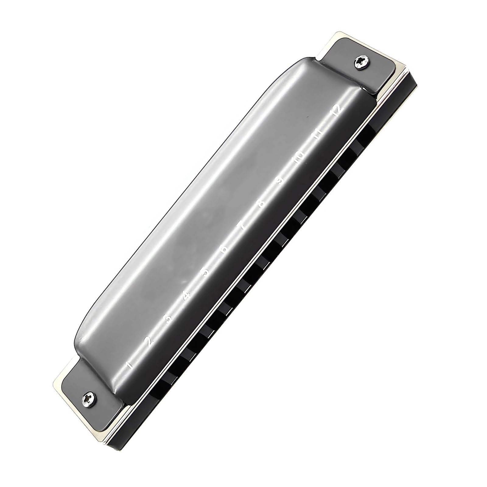 Harmonijka 12-otworowy klawisz C Premium Szary Wygląd Blues Diatonic Harmonica Aluminiowy grzebień
