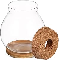 Vista 9 de Balacoo Pescadera hidropónica de escritorio, pecera de vidrio transparente con cojín de bambú y tapa de madera, pequeñas plantas de peces betta