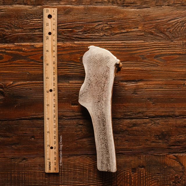 Large Split Elk Antler - Elk Antler Dog Chew - Grade A Premium - Organic - Made in USA - No Mess
