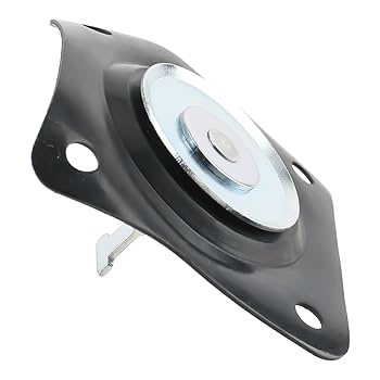 政宗3 Amazon.com: SecosAutoparts 230675 Fuel Pump Rebuild Kit