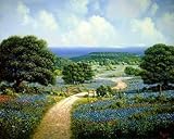 Hill Country Retreat by James Lasswell - Texas Wildflower Bluebonnet Art Print - 16x20