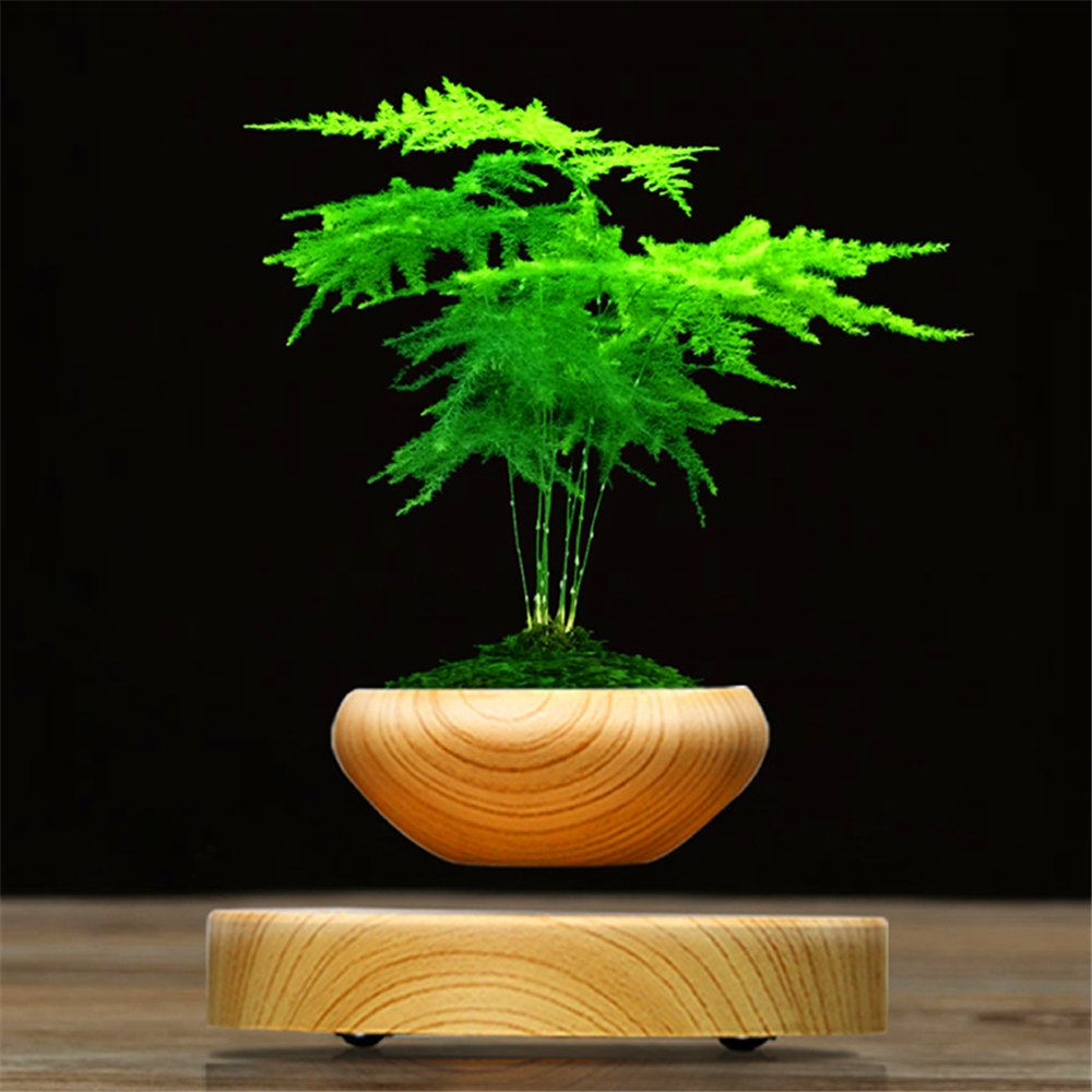 Amazon.co.jp: ZOMTOPクリエイティブホーム装飾鉢植え, 浮遊Air盆栽