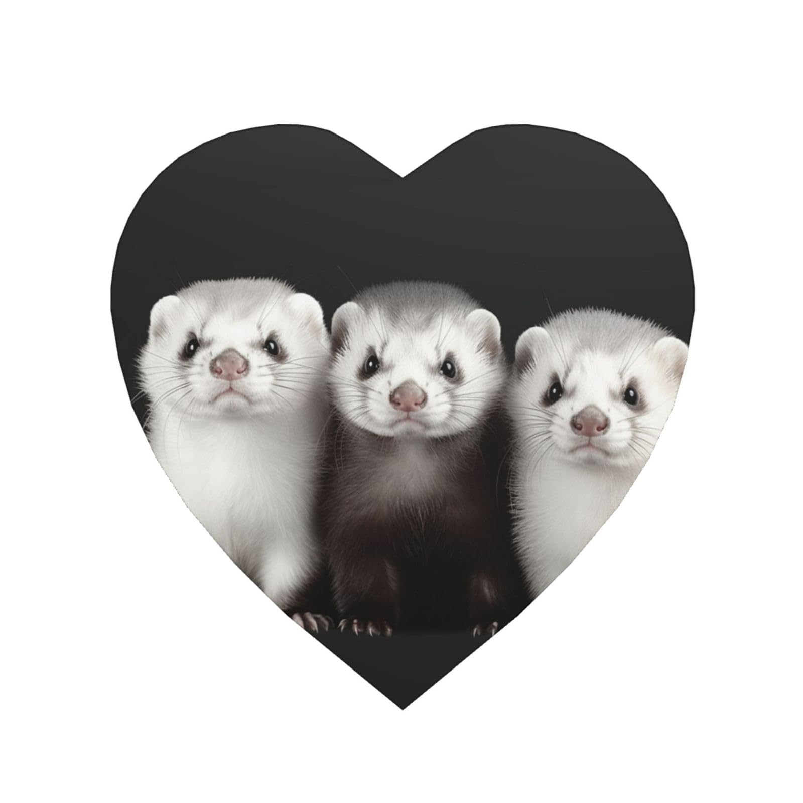 Fodpand Heart Shape Ferrets Fridge Magnets, Strong Small Refrigerator Magnets Decorative Magnets For Kitchen Fridge Office Locker - Funny Magnetic Stickers Birthday Gifts