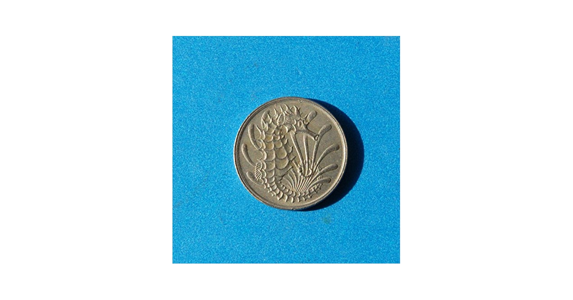 セゴウ チョウ 80-10 Singapore 10 Cents 1976 Seahorse Coin at Amazon's