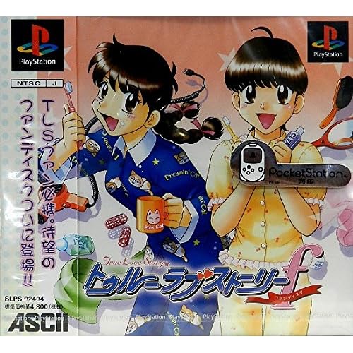 トゥルー・ラブストーリーファンディスク