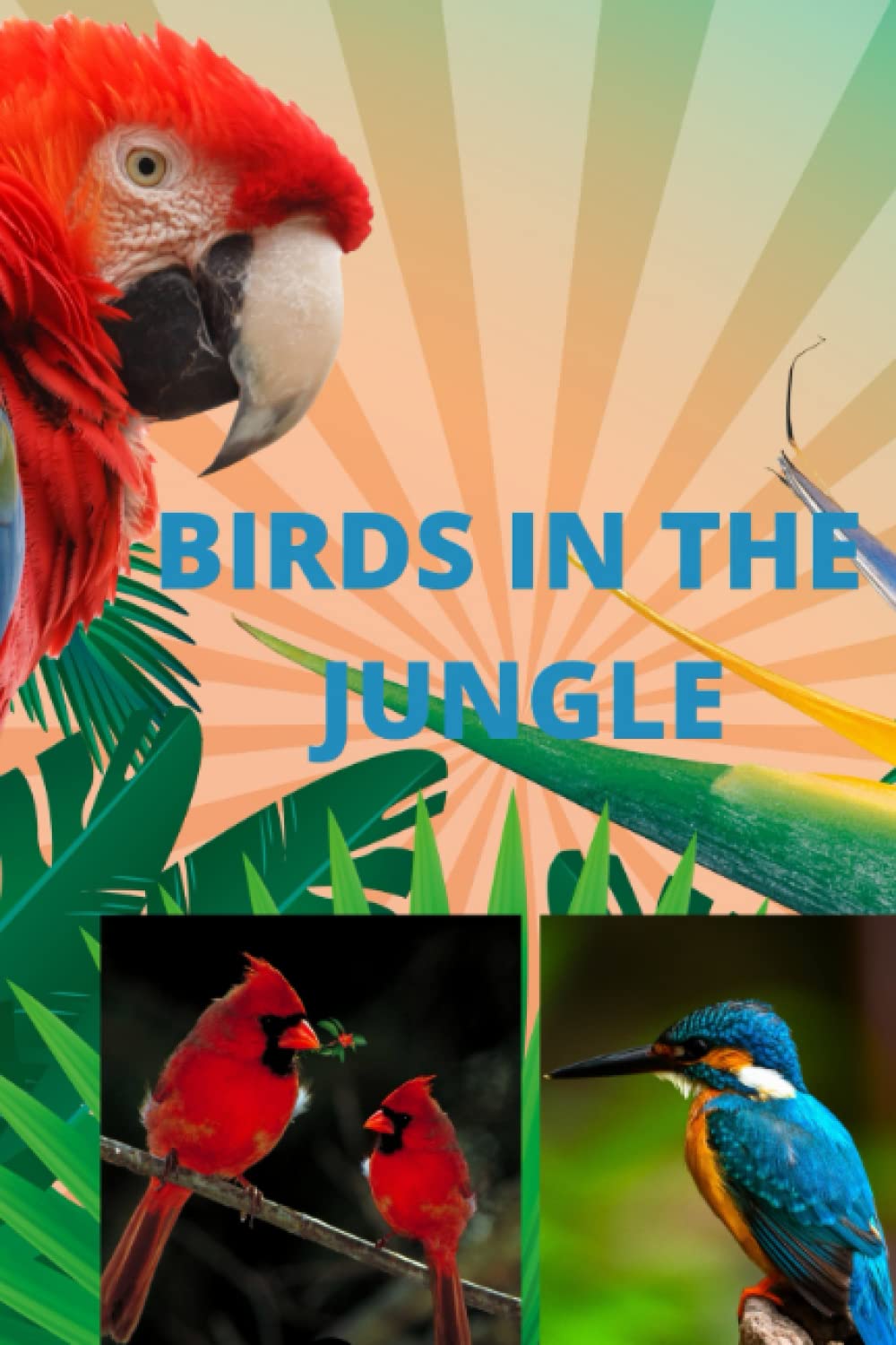 BIRDS IN THE JUNGLE : A book about different kinds of birds found in the jungle for kids to get Familiar with birds for fun