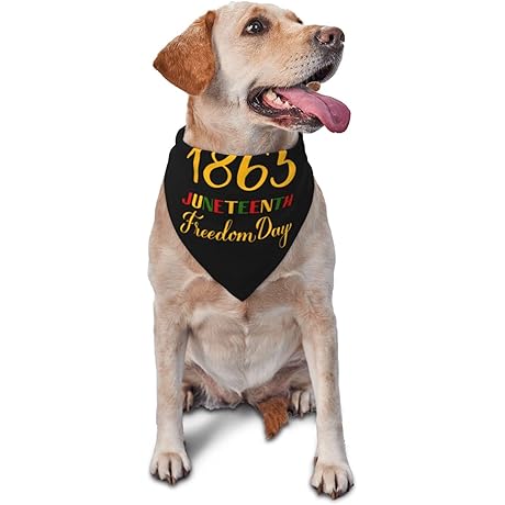 Happy Juneteenth Day Freedom 1865 Dog Scarf Bandana