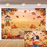 Thanksgiving Day Fall Backdrop...