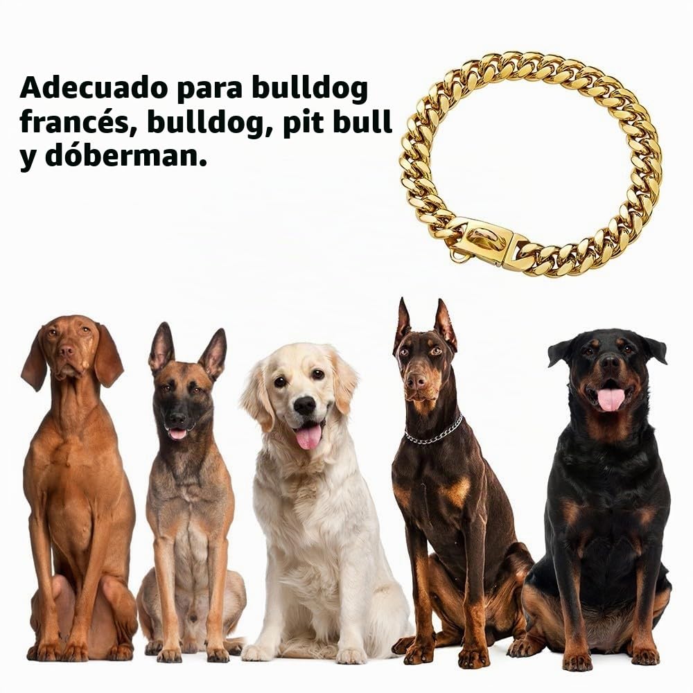 Collar cubano para perros, collar de acero inoxidable, 14mm de ancho, cadena para collar de perro, 26/31/36/41/46/51/56/61cm de longitud, collar dorado para perros de tamaño pequeño y mediano