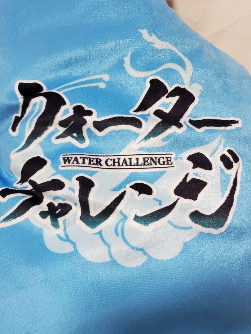 Amazon.co.jp: ウォーターチャレンジ すまない先生ダイカット