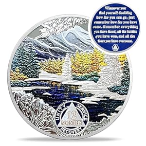 1 Month Sobriety Coin – Recovery Seasonal Landscapes AA Coins – Wintter NA HA AA Chips and Medallions – 1-12 Month Clean and Sober Narcotics Alcoholics Anonymous Gifts for Men Women