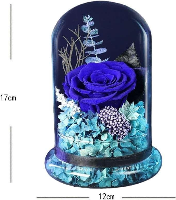 Dry Flower Bundle Eternals Glass Cover Gift Box Wedding Birthday for Girlfriend and Wife