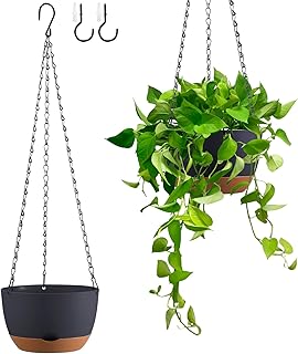 Set of 2 8 Inch Self Watering Hanging Planters for Indoor Outdoor Plants...