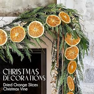 Dried Orange Slice Christmas Garland - 10 ft Realistic Farmhouse Decor for Mantle, Front Door, Porch, Fireplace, Christmas Tree, Home, Indoor Dried Orange Slice Christmas Garland 10 ft Realistic Farmhouse Decor for Mantle Front Door Porch Fireplace Christmas Tree Home Indoor