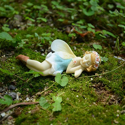 Top Collection Estatueta de fada de flor dormindo de jardim e terrário em miniatura