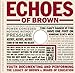 Echoes of Brown: Youth Documenting and Performing the Legacy of Brown V. Board of Education with DVD (Teaching for Social Justice Series)