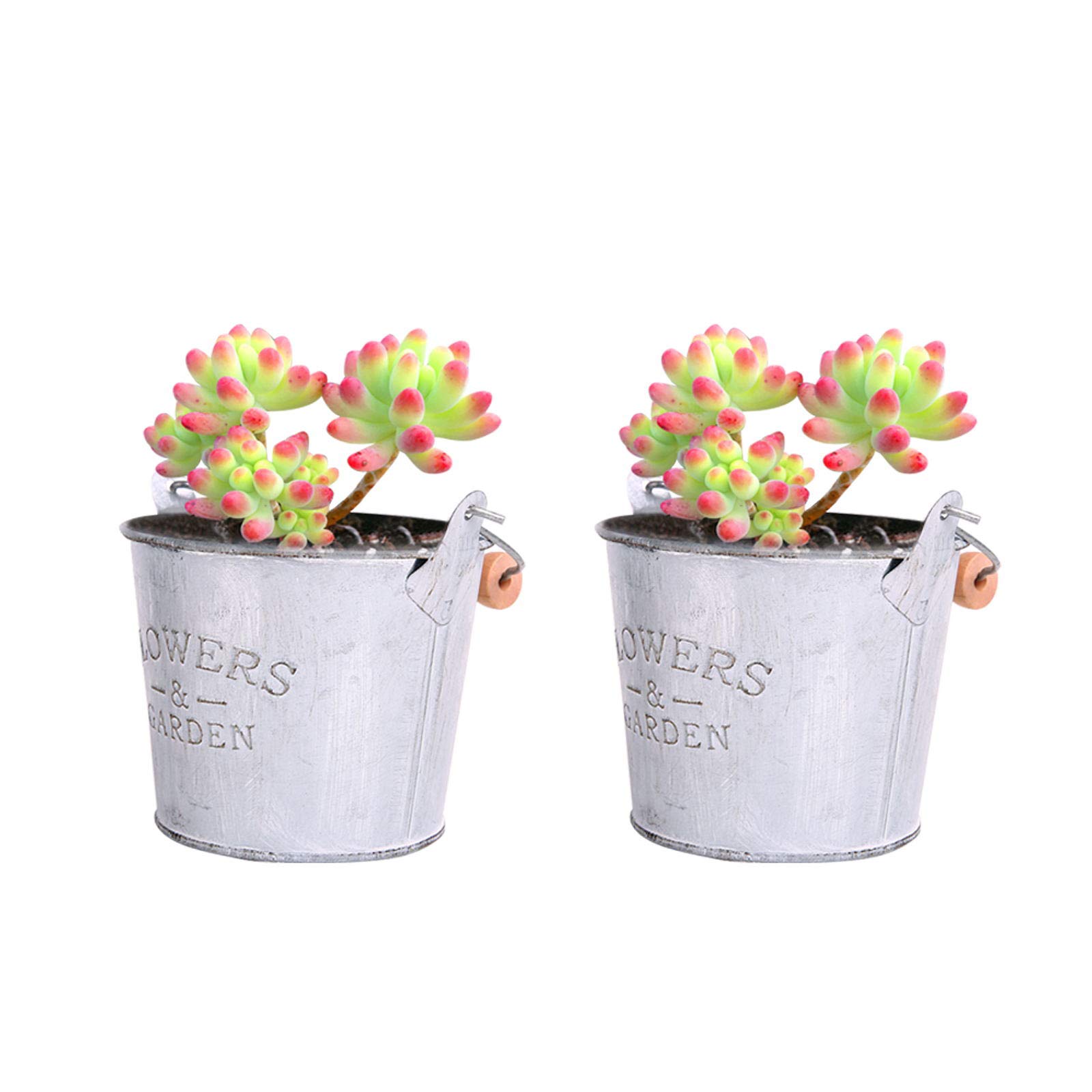 CITÉTOILE 2 Pcs Metal Flower Pot Small Flower Pot with Wooden handle Vintage Style For Decoration Balcony Garden Party Wall Outdoor and Indoor