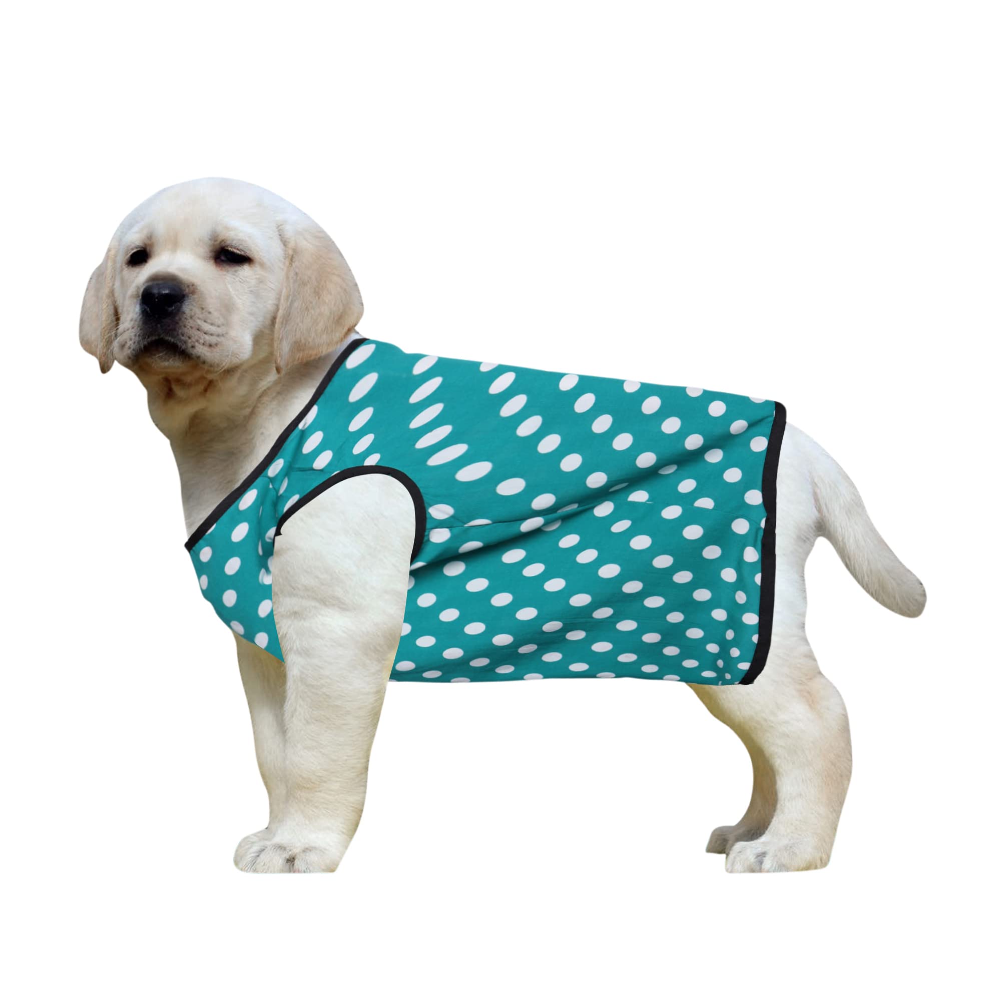 Western Era Funky Soft Cotton Dog T-Shirt | Comfortable & Breathable Dog Clothing | Sleeveless Vest Puppy Outfit |(Polka Sky Blue) (XXSmall) (10inches) (B09WMLPL53) Amazon Price History, Amazon Price Tracker