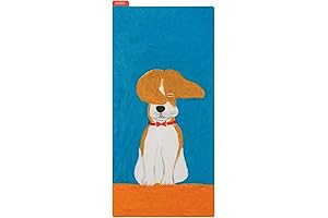 Hobonichi Techo Pencil Board Drawer Pouch