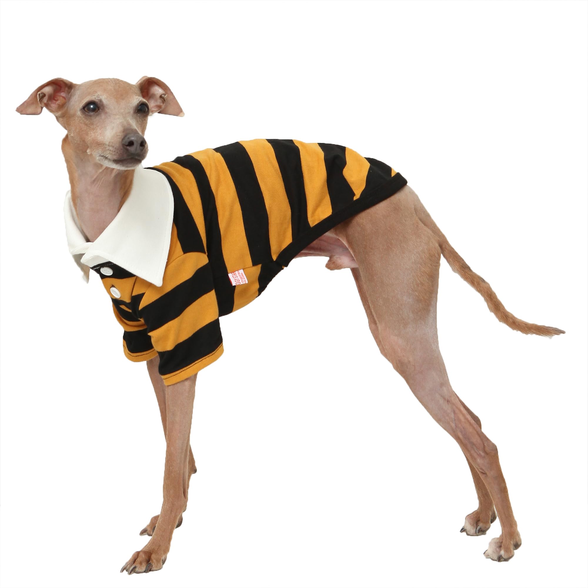 D Doggy Star Italian Greyhound Clothes Cotton Rugby Collar T Shirt Slim Fit Striped Dog Apparel Fits Up to Small Whippets Spring Early Summer Fall (XL, Rugby Mustard) โ image 1