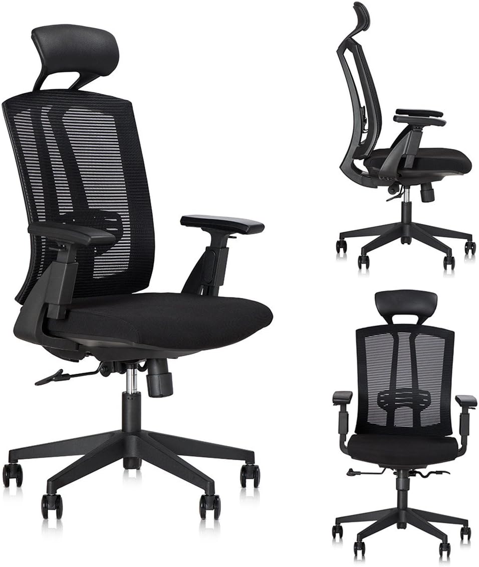 Dr. Office High Back Ergonomic Office Chair Executive Desk Chair with Headrest and Ajustable Armrest(Black)