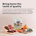 BADLANDS RANCH Superfood Complete, Air-Dried Adult Dog Food - High Protein, Zero Fillers, Superfood Nutrition by Katherine Heigl (326 Grams, Beef Flavor)