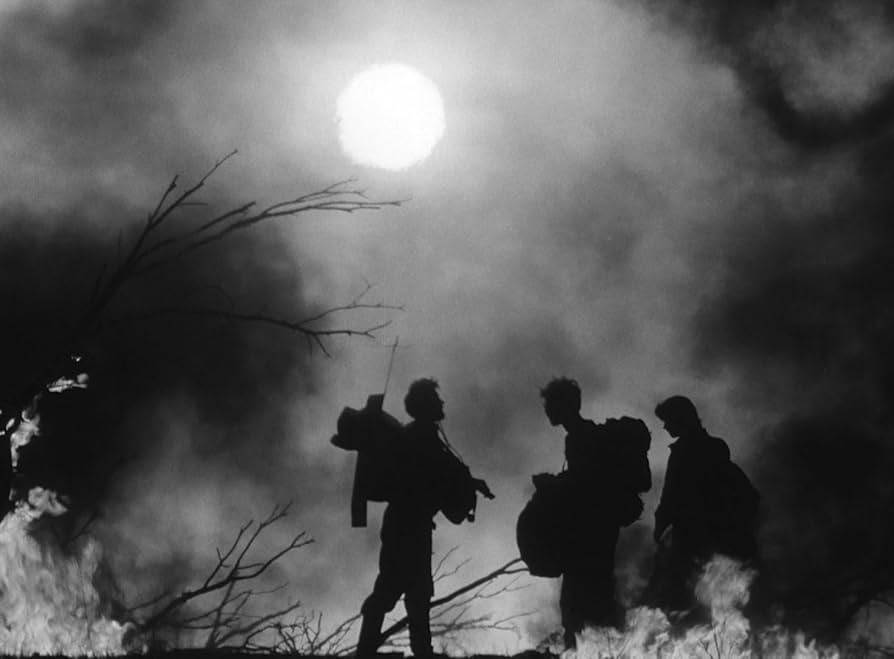 鶴は翔んでゆく 送られなかった手紙 4Kレストア Blu-ray ブルーレイ 71hTGnteEyL.jpg