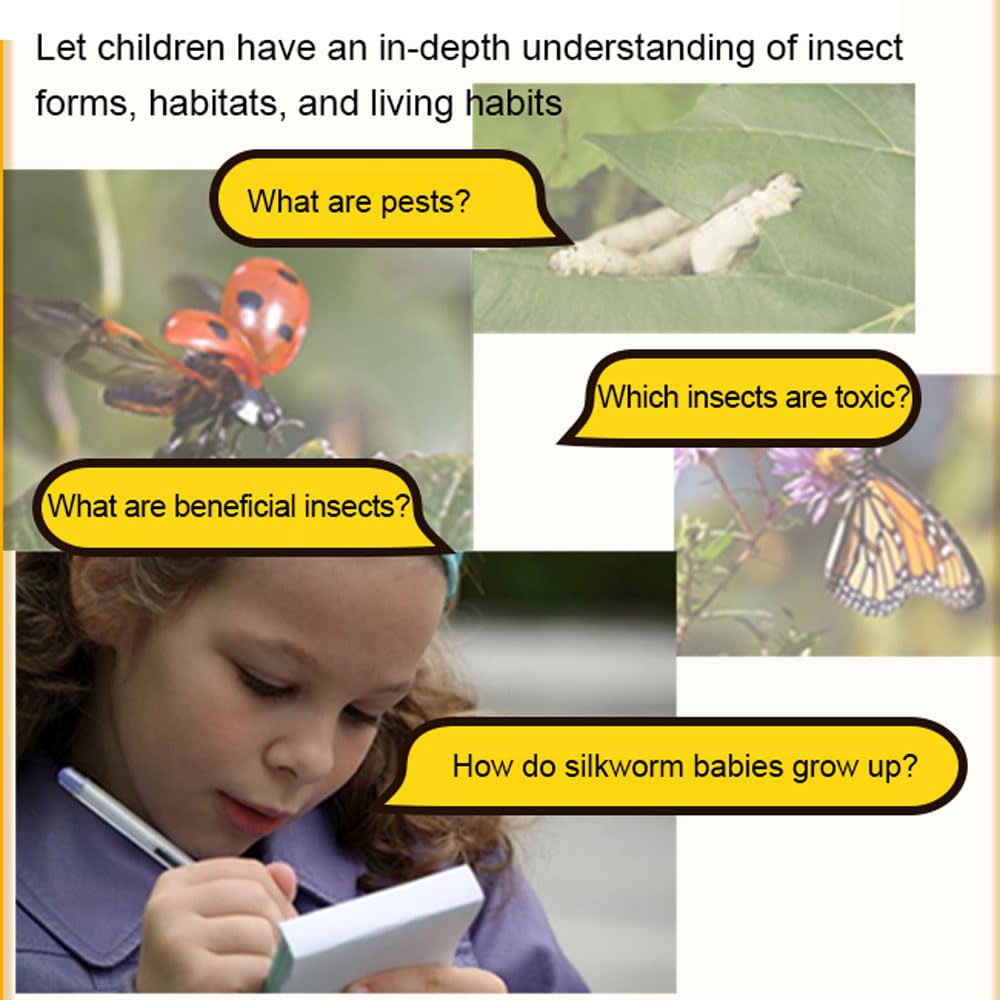 20 Insetti In Resina - Collezione Decorativa Con Campioni Reali | Fermacarte Artistico Per Scrivania - Foto 9