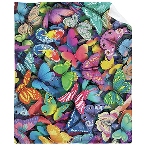 Up To 40% OFF Rainbow Cat Fleece Flannel Throw Blanket Travel Quilt Warm Decorative Lightweight Plush for Couch Bed Sofa Car Living Room 120"x90"Inch(305229cm) XXL for Family