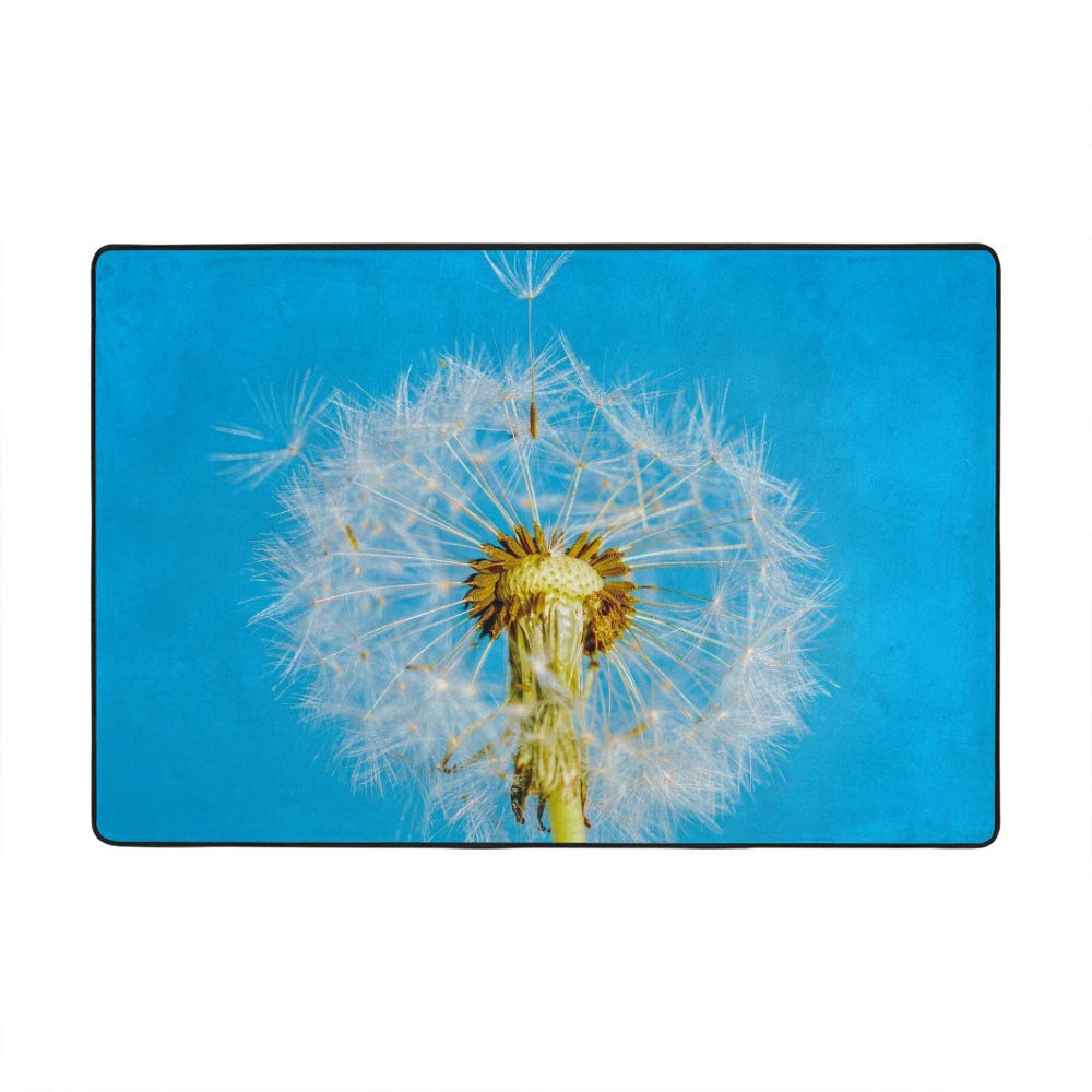 Grand tapis Ruchen pissenlit bleu ciel en velours corail de 160x122cm pour salon