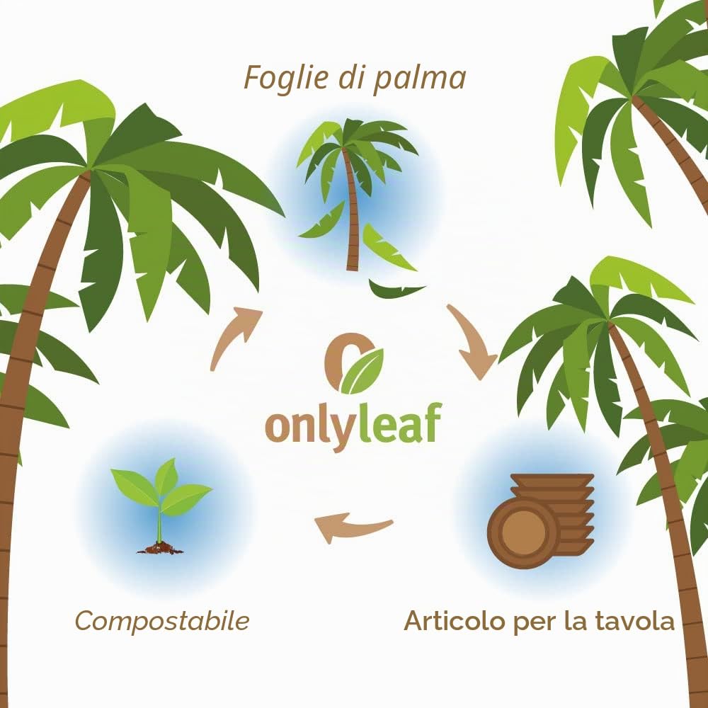 Palmware - Vassoio da pasto monouso da 200 pezzi realizzato in foglia di palma rettangolare 24x15cm con 2 scomparti separati I bio da tavola monouso biodegradabile