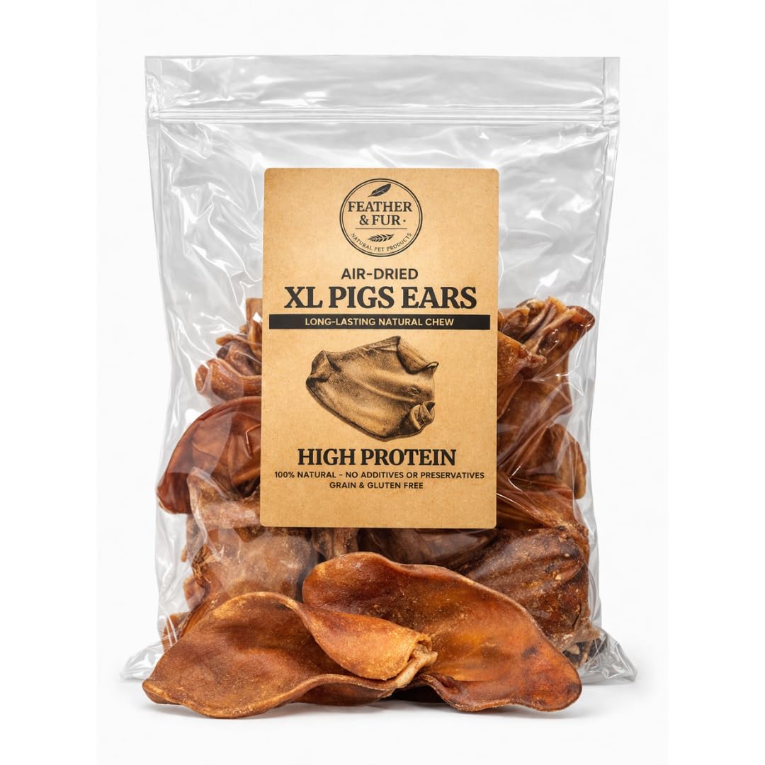 Feather and Fur XL Pig Ears for Dogs - 100% Natural Air Dried Dog Chews - Long Lasting Dental Treats - Grain Free - High Protein - Pack of 10