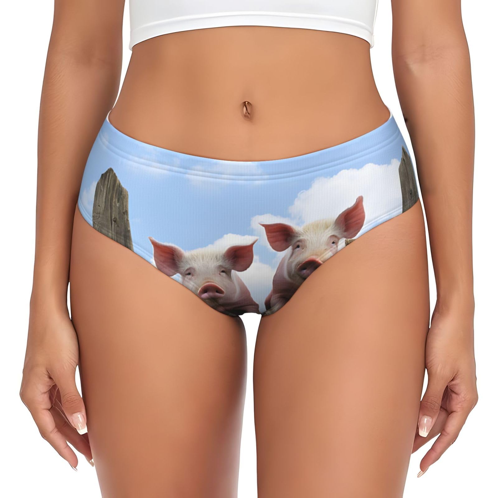 Funny Cute Pigs Printed Print Womens Underwear Briefs, Soft Stretchy No Show Panties Seamless Comfort Everyday Panty Black