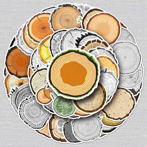 Set di 50 adesivi ad anello per albero di Natale, per auto, laptop, skateboard, bicicletta, ciclomotore, moto, computer, adatto per adulti