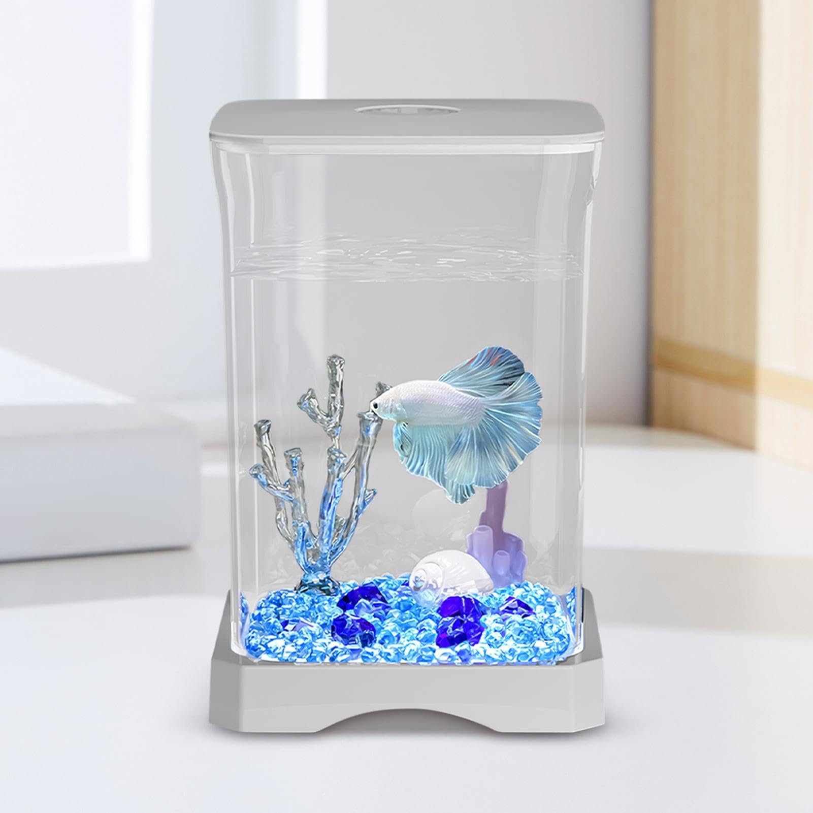 Amazon | ベタ用水槽,ベタ水槽 | ベタ水槽4K HD 卓上水槽 - 水族館