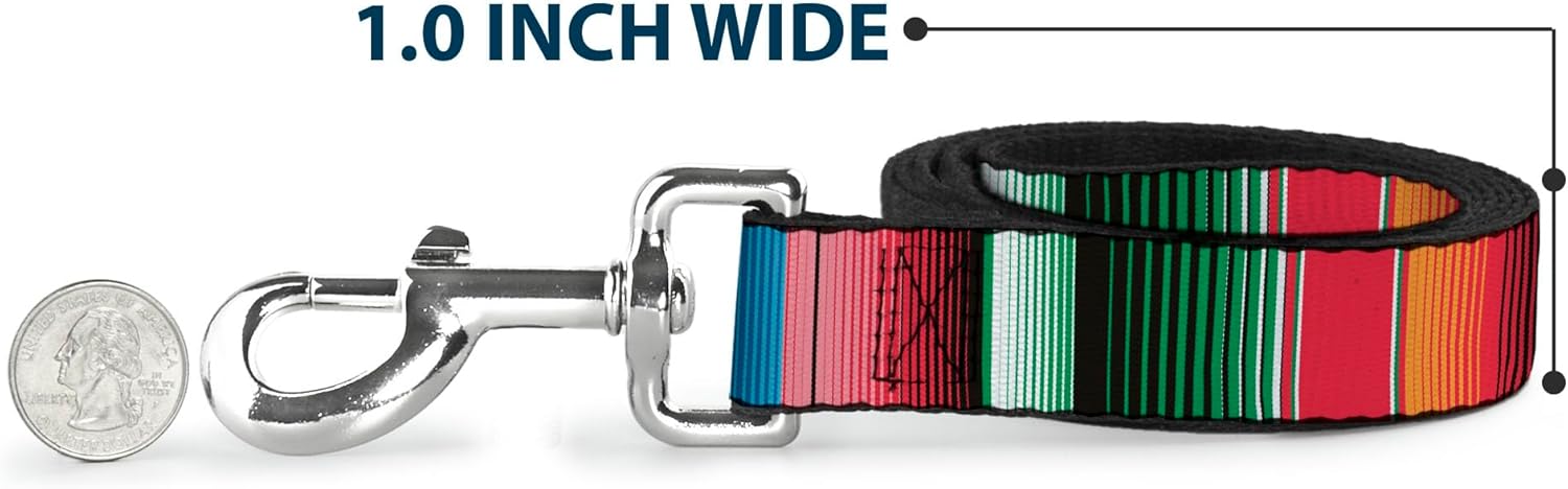 Dog Leash Zarape5 Vertical Multi Color Stripe 6 Feet Long 1.0 Inch Wide
