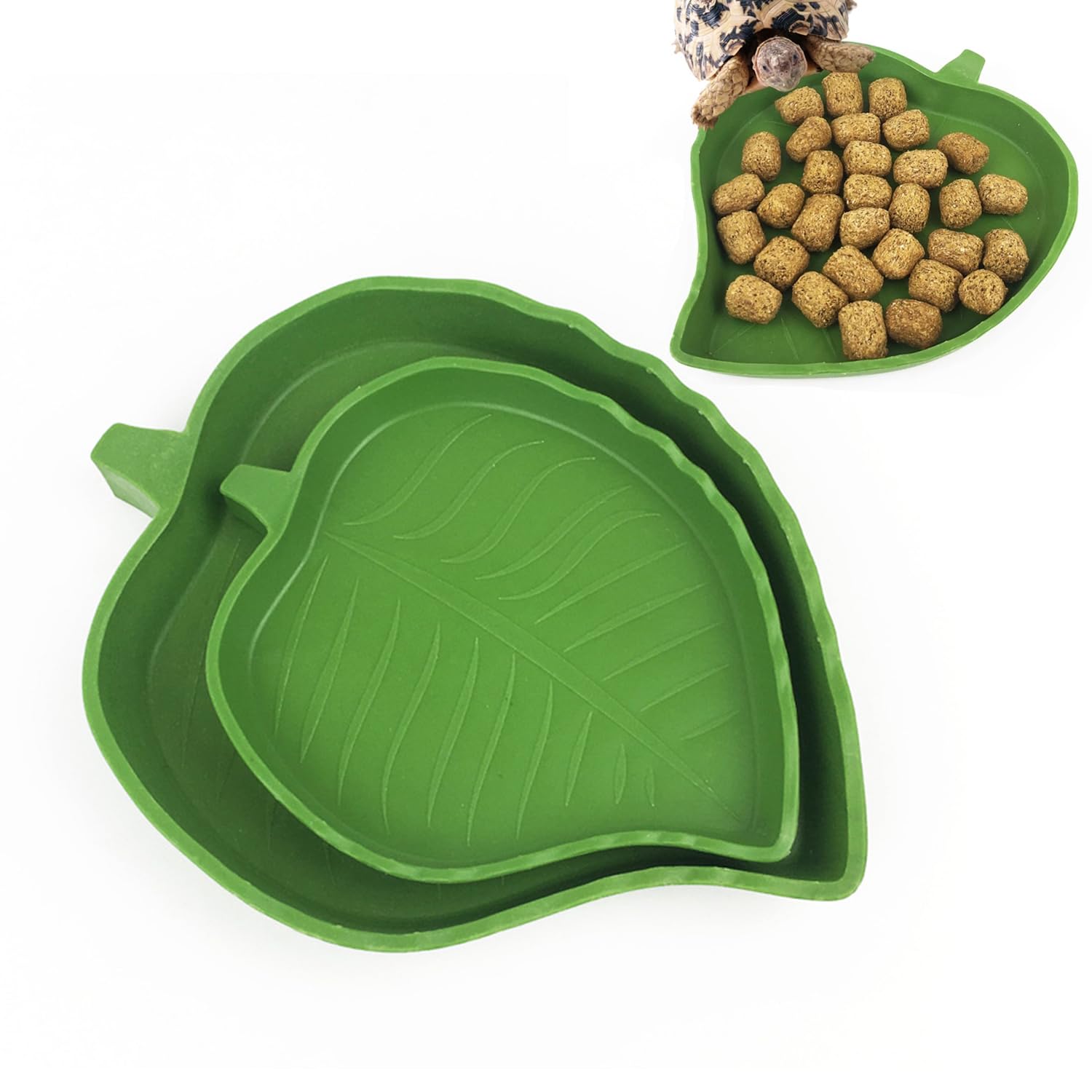 Ciotoline A Forma Di Foglia Per Animali - Set Da 2 Per Cibo E Acqua | Tartarughe, Gechi E Rettili - Foto 8