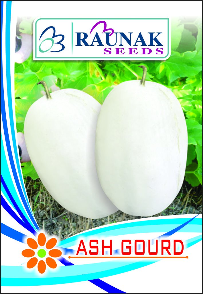 Indica MITHAI PETHA/ASH Gourd DESI 10 Seeds X 4 Packets OP Quality (RAUNAK Seeds Brand) Sold by SUPER AGRI GREEN (B01EIKKABQ) Amazon Price History, Amazon Price Tracker